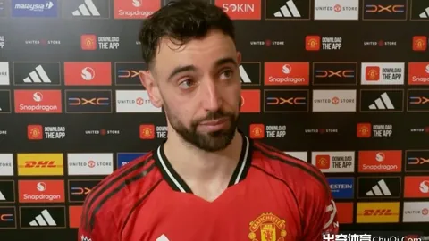 大乐透期号专家质合分析推荐：意甲送分题挑战