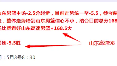 阿拉维斯迎战莱加内斯：训练中伤病频发，阿拉维斯前景不明